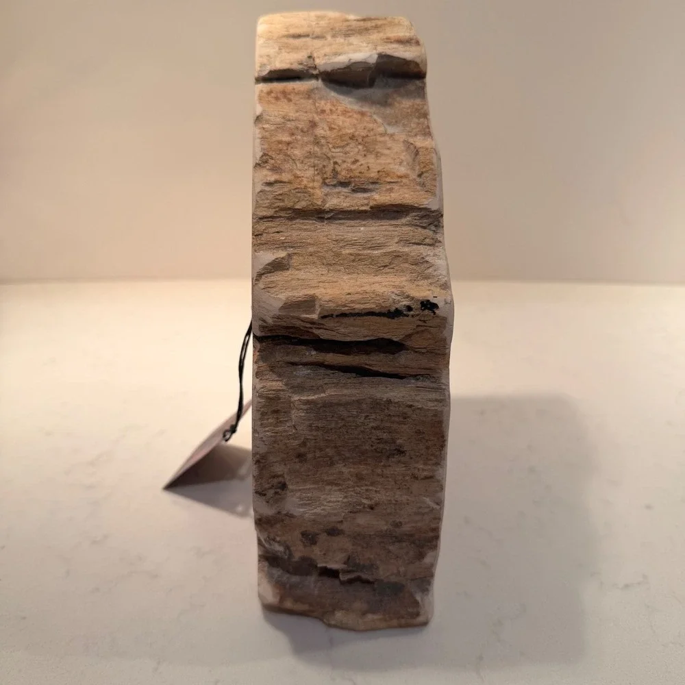 Natural Petrified Wood Single Bookend Handmade Heavy Large Neutral Bibliophile